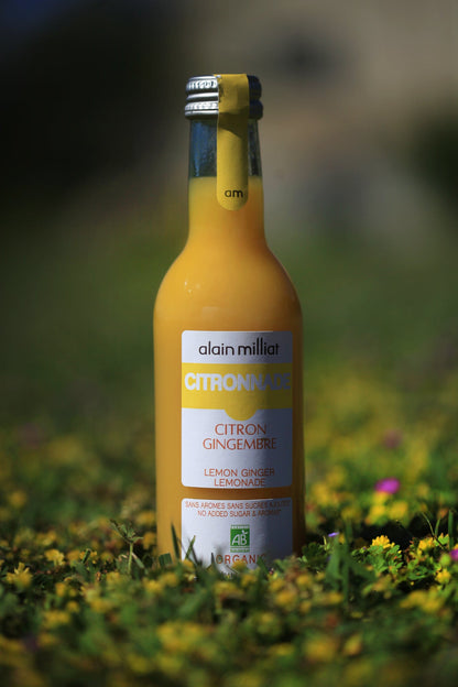 Limonadas su citrina ir imbieru